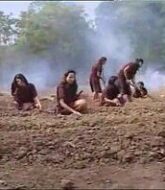 สวาทสาวขัง