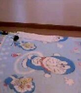 คลิปหลุด Thai girl hana สุทธินันท์ อนุภาพประเสริฐ camfrog ID P!po lesbian 3some V2