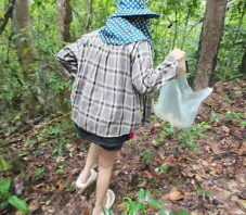 สาวไทยเดินคุยเล่นเก็บเห็ดในป่า แอบโชว์ในป่าลึก เสียงไทยชัด
